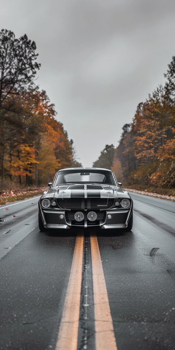 Ford Shelby GT500 'Eleanor'